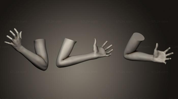 Anatomy of skeletons and skulls (Female Arm Pose 13, ANTM_0077) 3D models for cnc